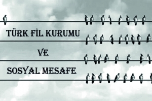 Türk Fil Kurumu Ve Sosyal Mesafe