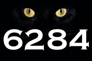 Erkek İle Kadın İçin Kara Kedi Yasası: 6284