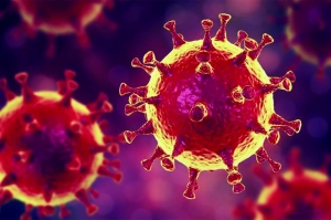 Koronavirüs Vesilesiyle; Dünyaya Bir Teklifimiz Var